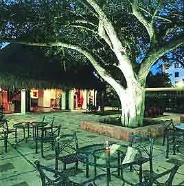 ****  Отель Club Bananas Playacar Мексика